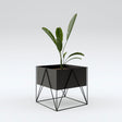 Plant Station Cubo Metal
