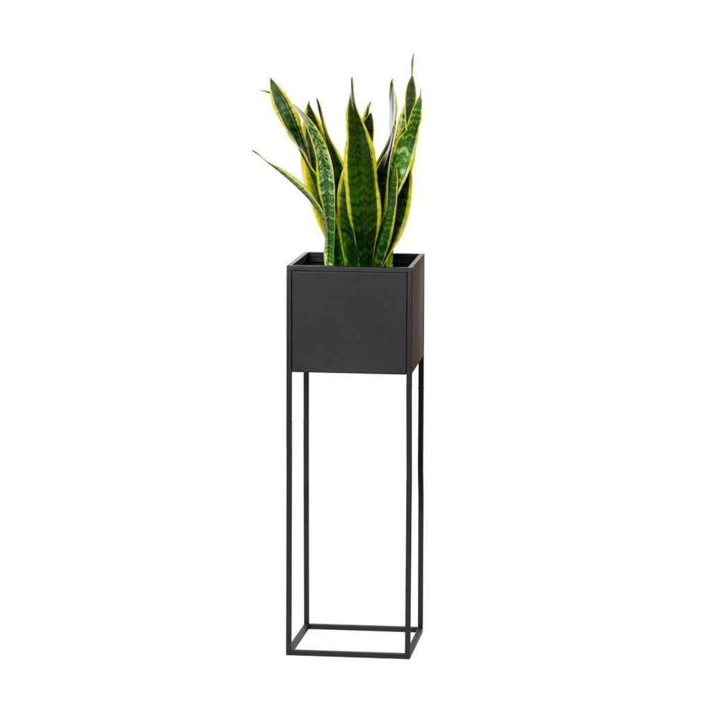 Macetero Bailey Kallfü metal negro, vista frontal sobre patas altas con planta